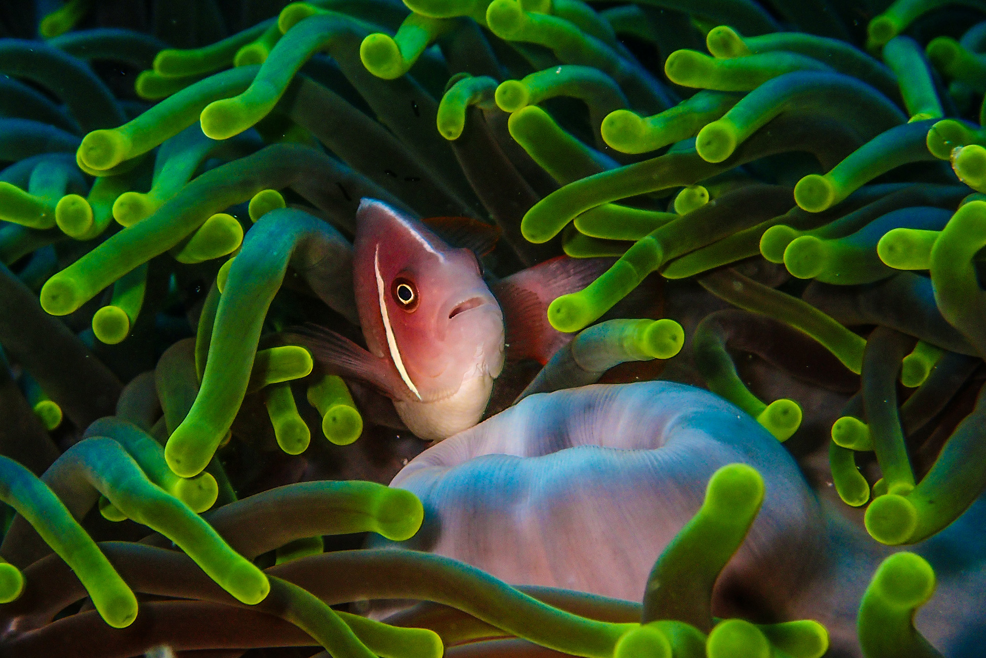 Biology