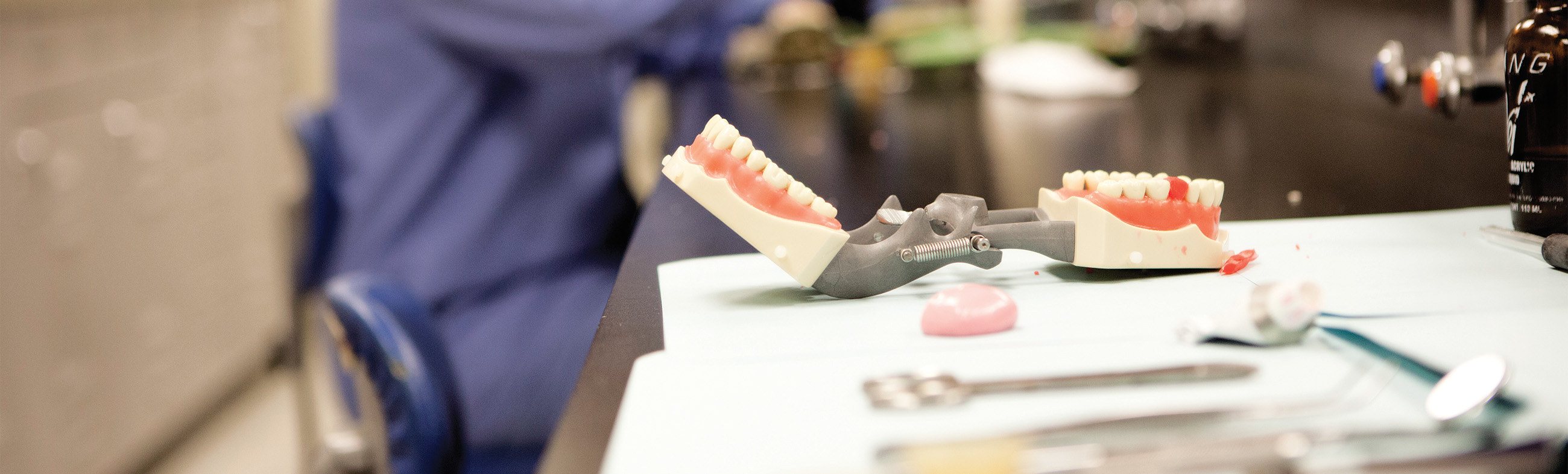 Dental devices for training students.