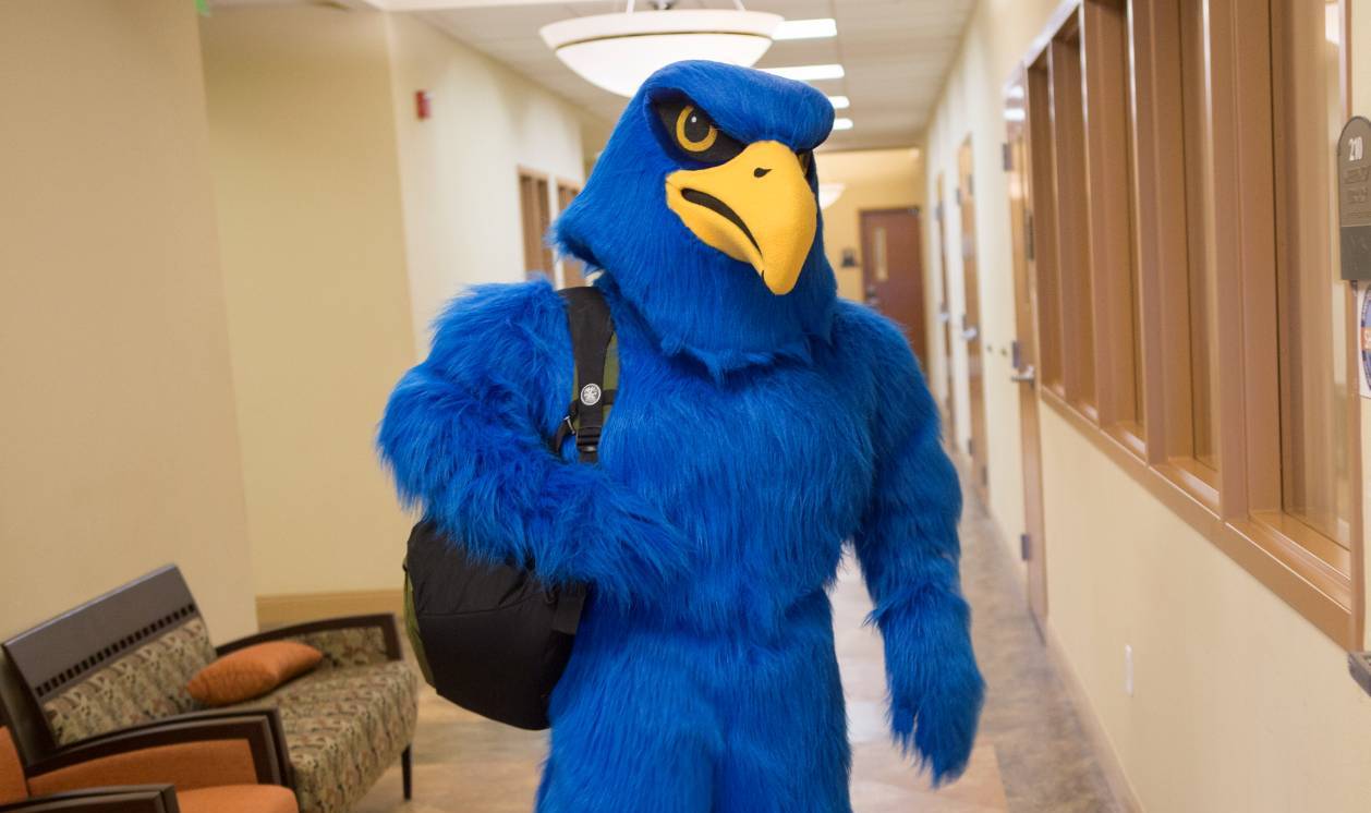 Freddie falcon in hallway with backback