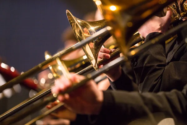 An Evening with the DSC Symphonic Band