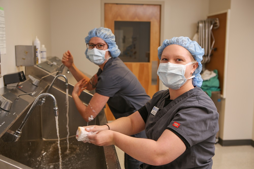 image of surgical technology students with face masks and washing hands