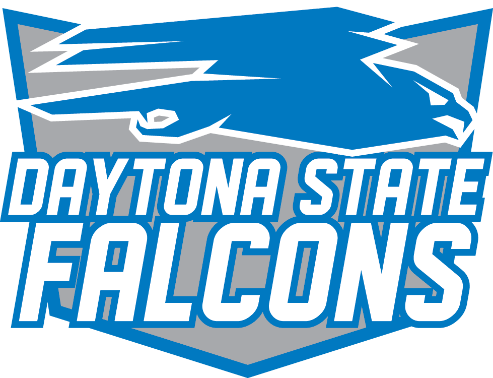 image of the DSC Falcons logo