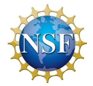 National Science Foundation awards DSC nearly-$1M STEM grant