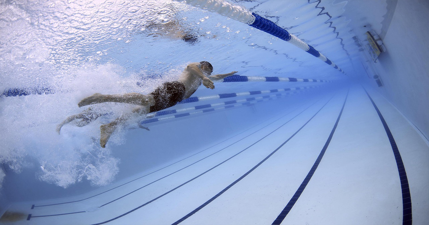 people swimming in the pool