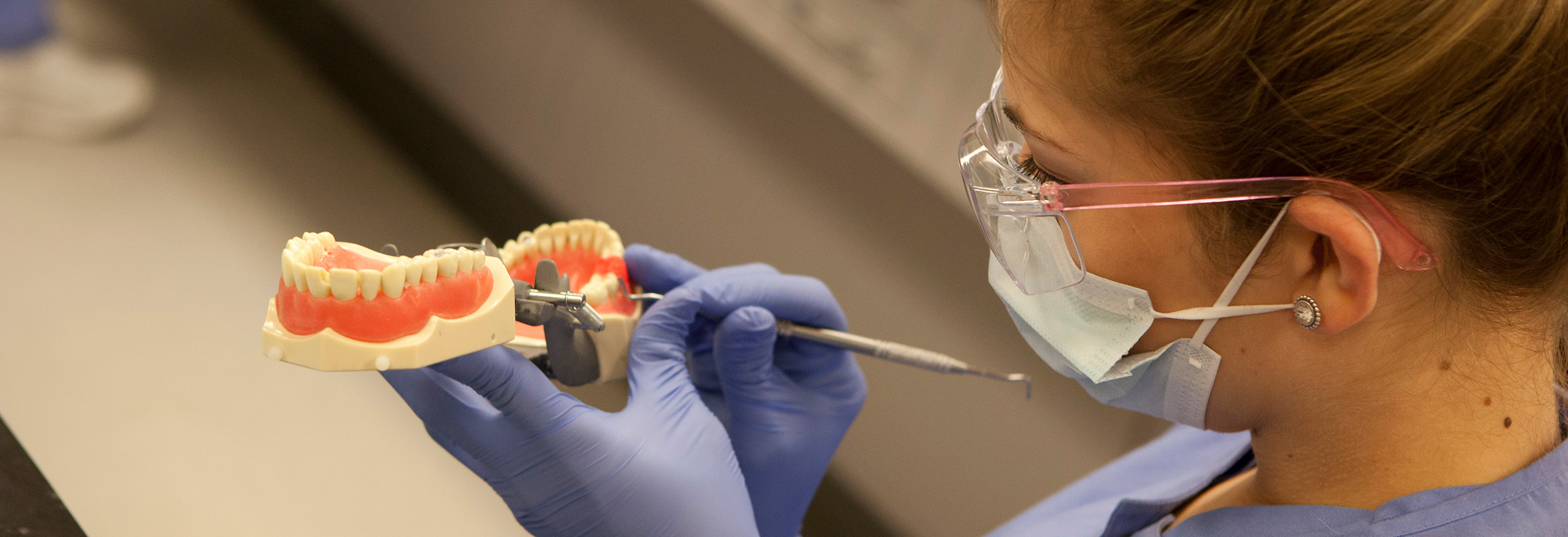 A dental student cleaning fake teeth.