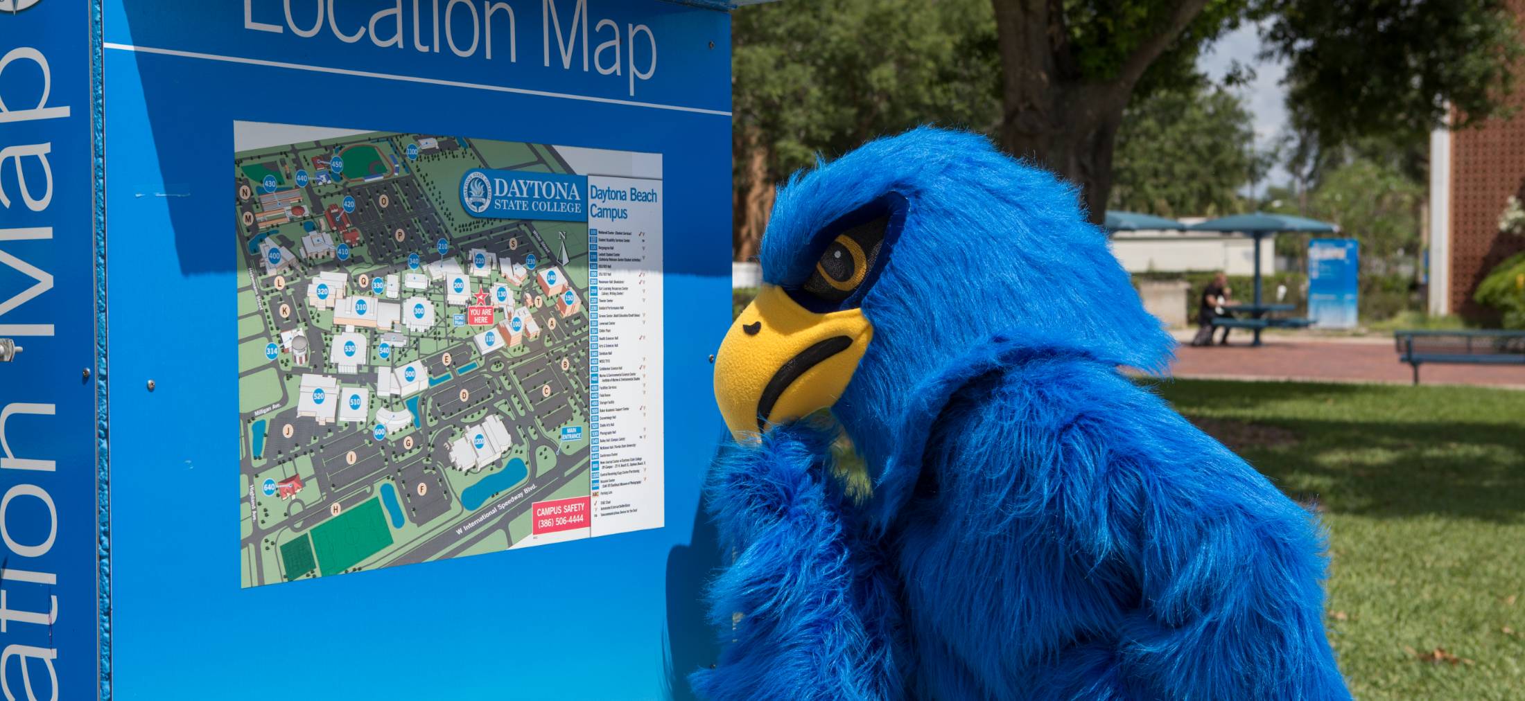 Freddie Falcon looking at a location map