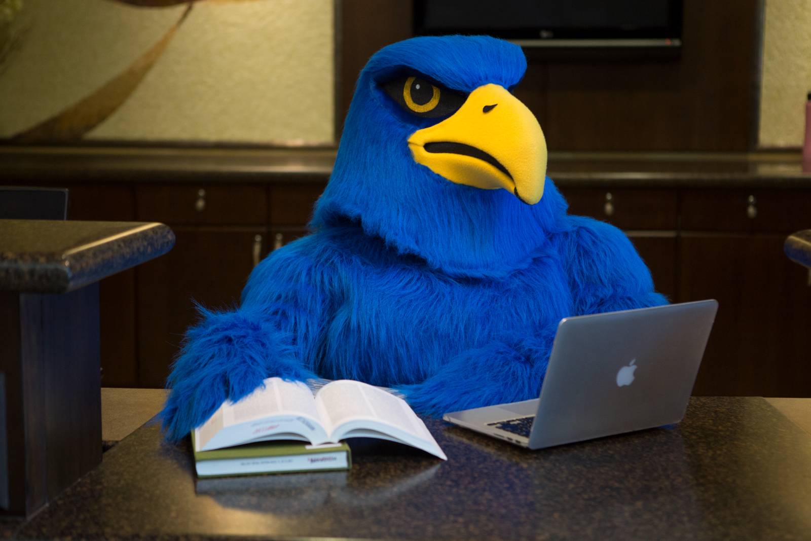 Freddie Falcon at desk with laptop and book
